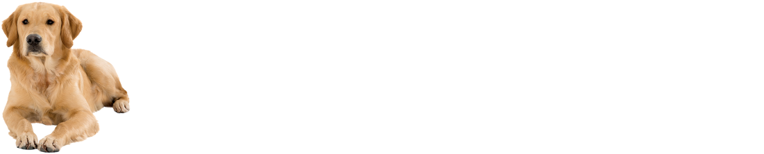 davidwilson_logo